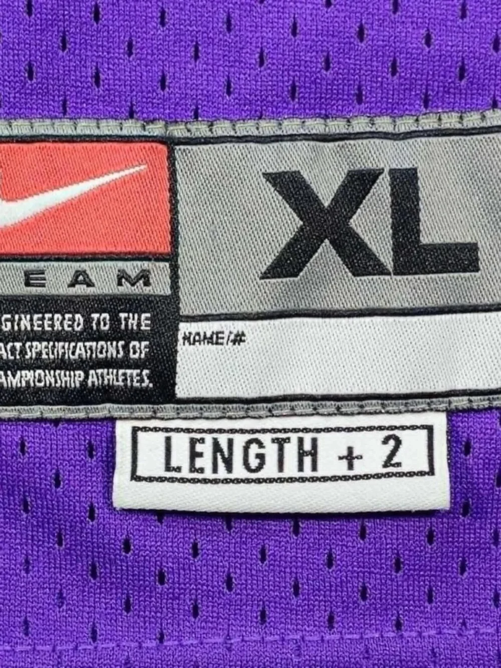 Sacramento Kings Vintage Chris Webber Nike Sewn Basketball Jersey